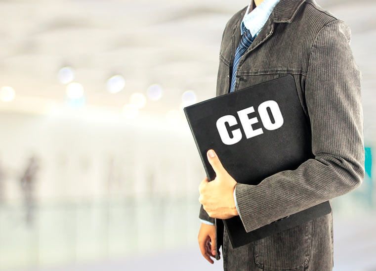 Aspectos relevantes CEO